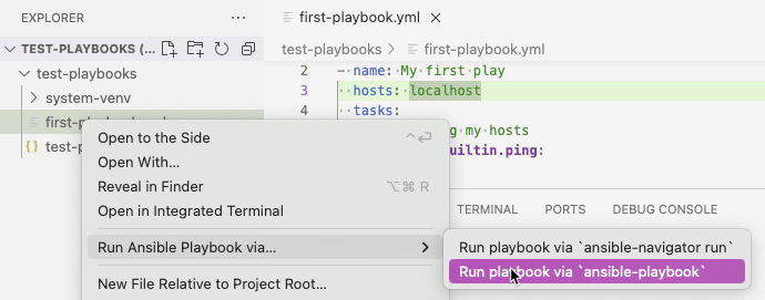 Run playbook via ansible-playbook